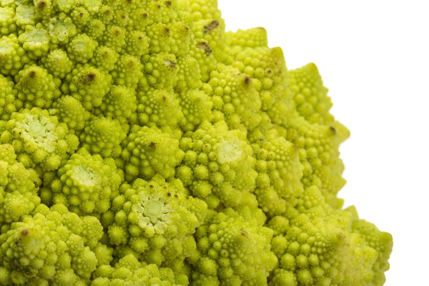 romanesco kool Aan wit foto