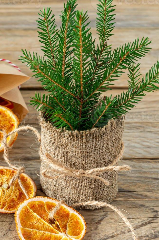 Kerstmis samenstelling met net boom takken en slinger gemaakt van droog plakjes van sinaasappels Aan houten achtergrond. rustiek stijl foto