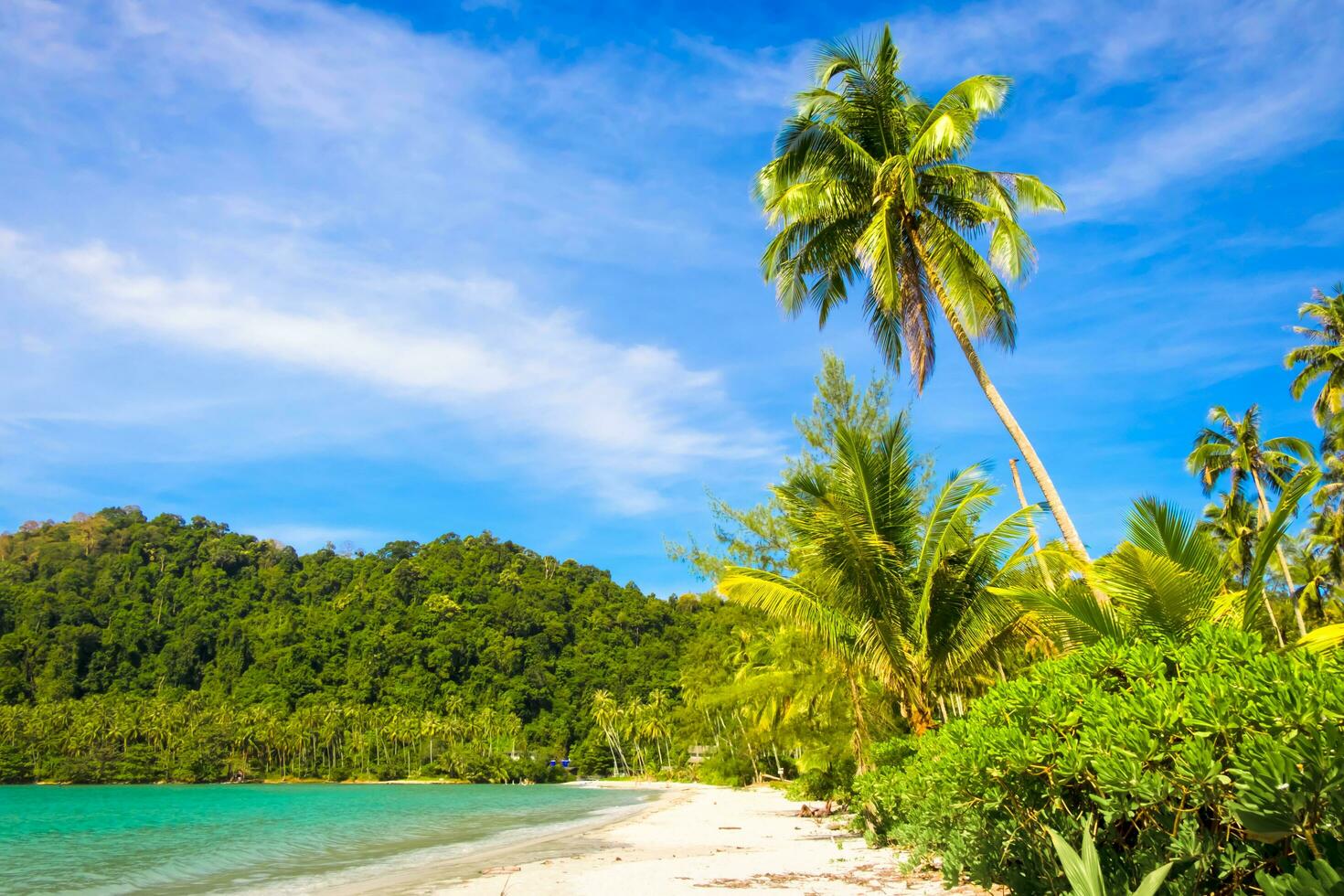 mooi tropisch strand net zo zomer zeegezicht met palm boom en blauw lucht voor reizen in vakantie kom tot rust tijd, op natuur achtergrond foto