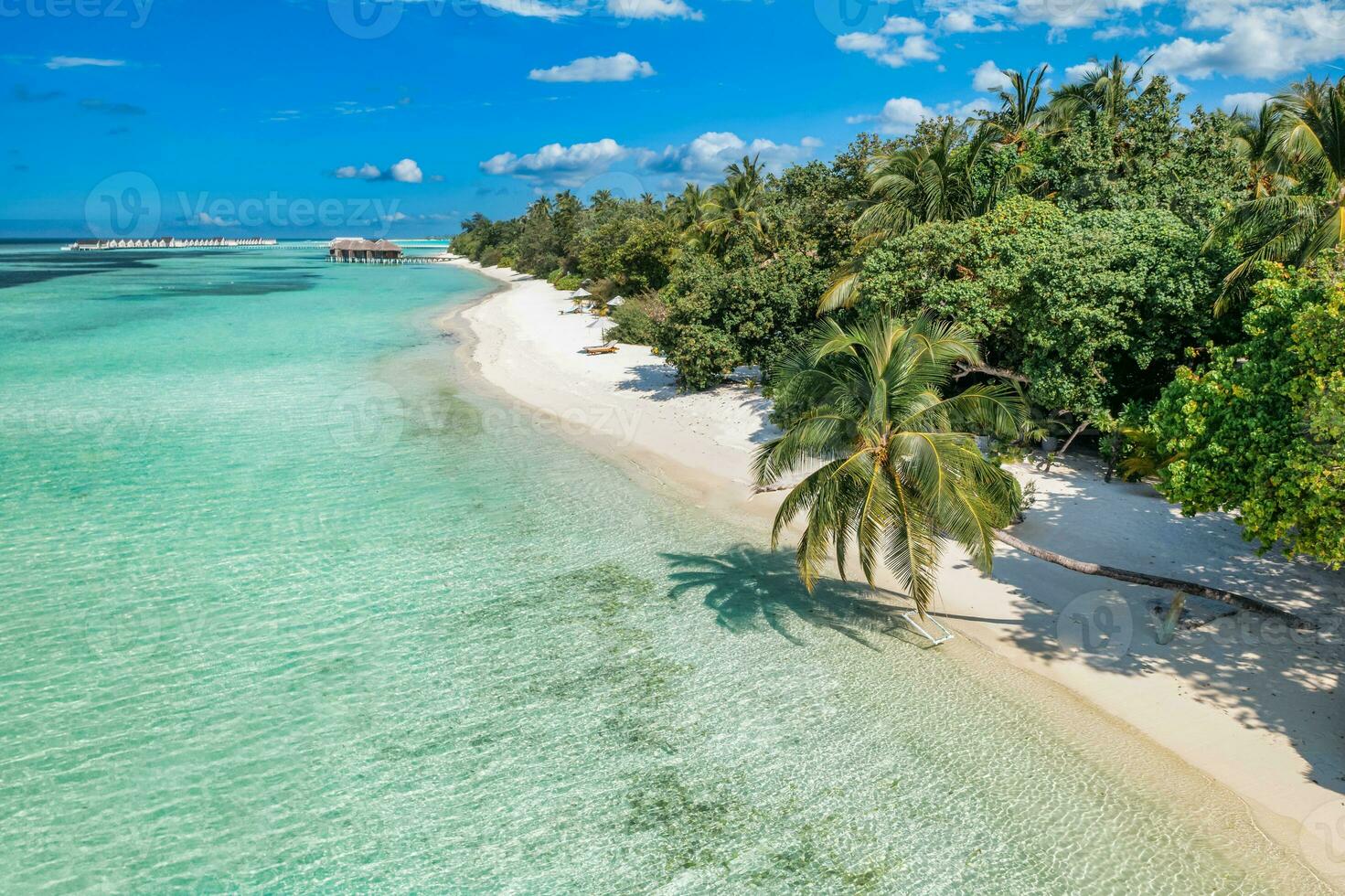 Maldiven antenne eiland landschap. tropisch strand kust van drone. exotisch natuur, palm bomen over- wit zand dichtbij naar koraal rif, blauw zee, lagune. zomer en reizen vakantie concept. mooi natuur foto