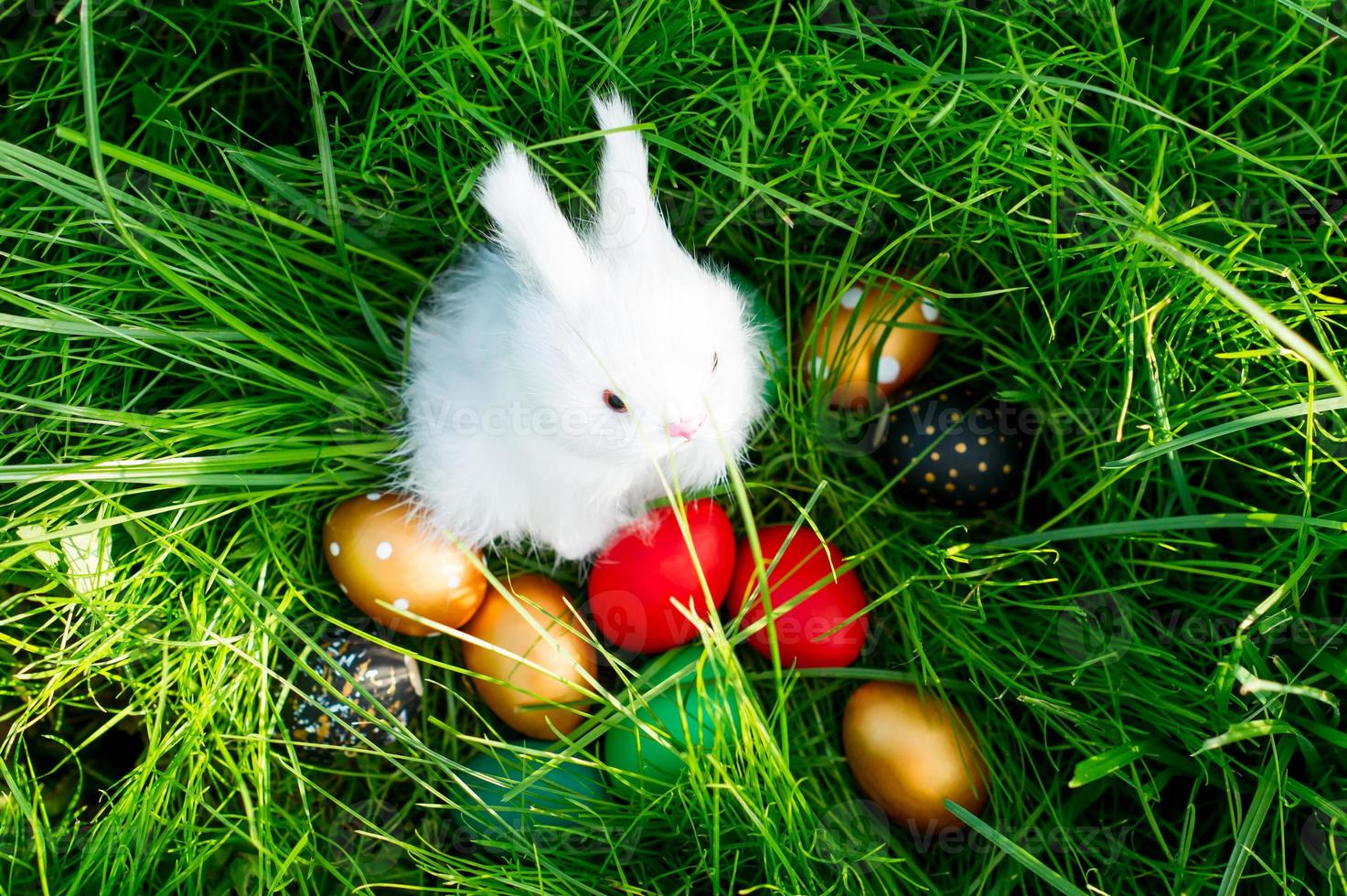 een speelgoed- wit pluizig konijn zit in de groen gras met kleurrijk geschilderd eieren. een traditie Aan de Pasen vakantie. konijn zoeken door kinderen. foto