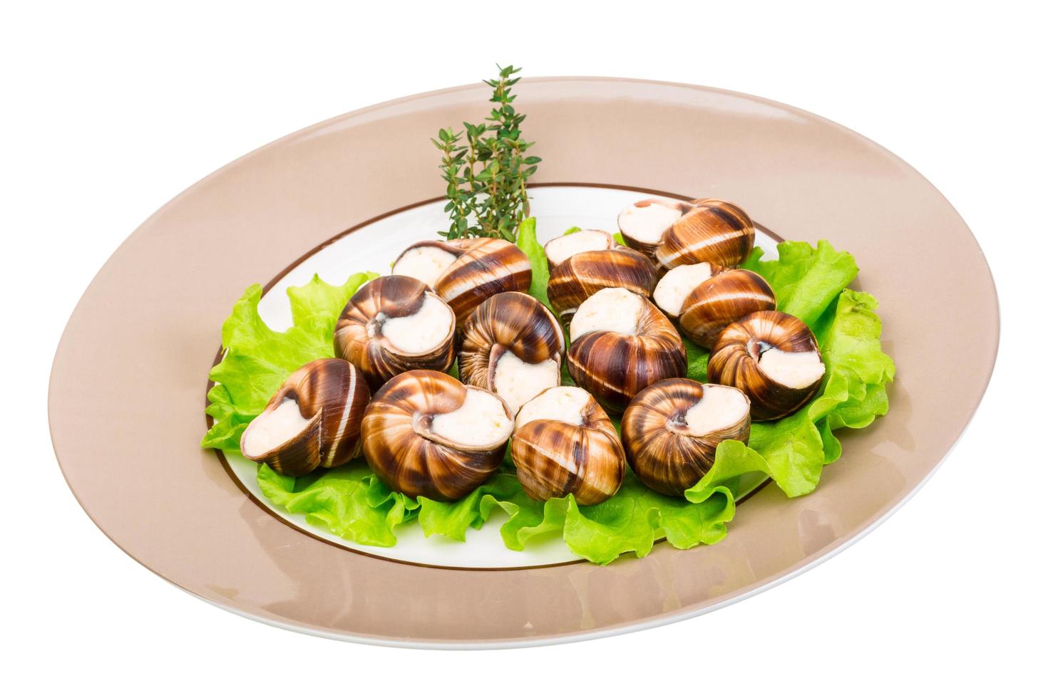 Escargots op het bord en witte achtergrond foto