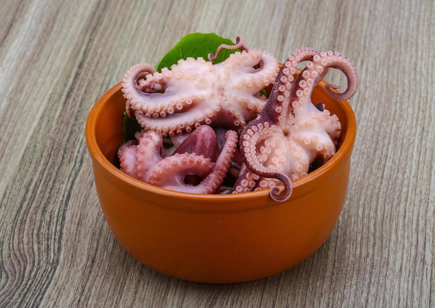 gemarineerd Octopus schotel visie foto
