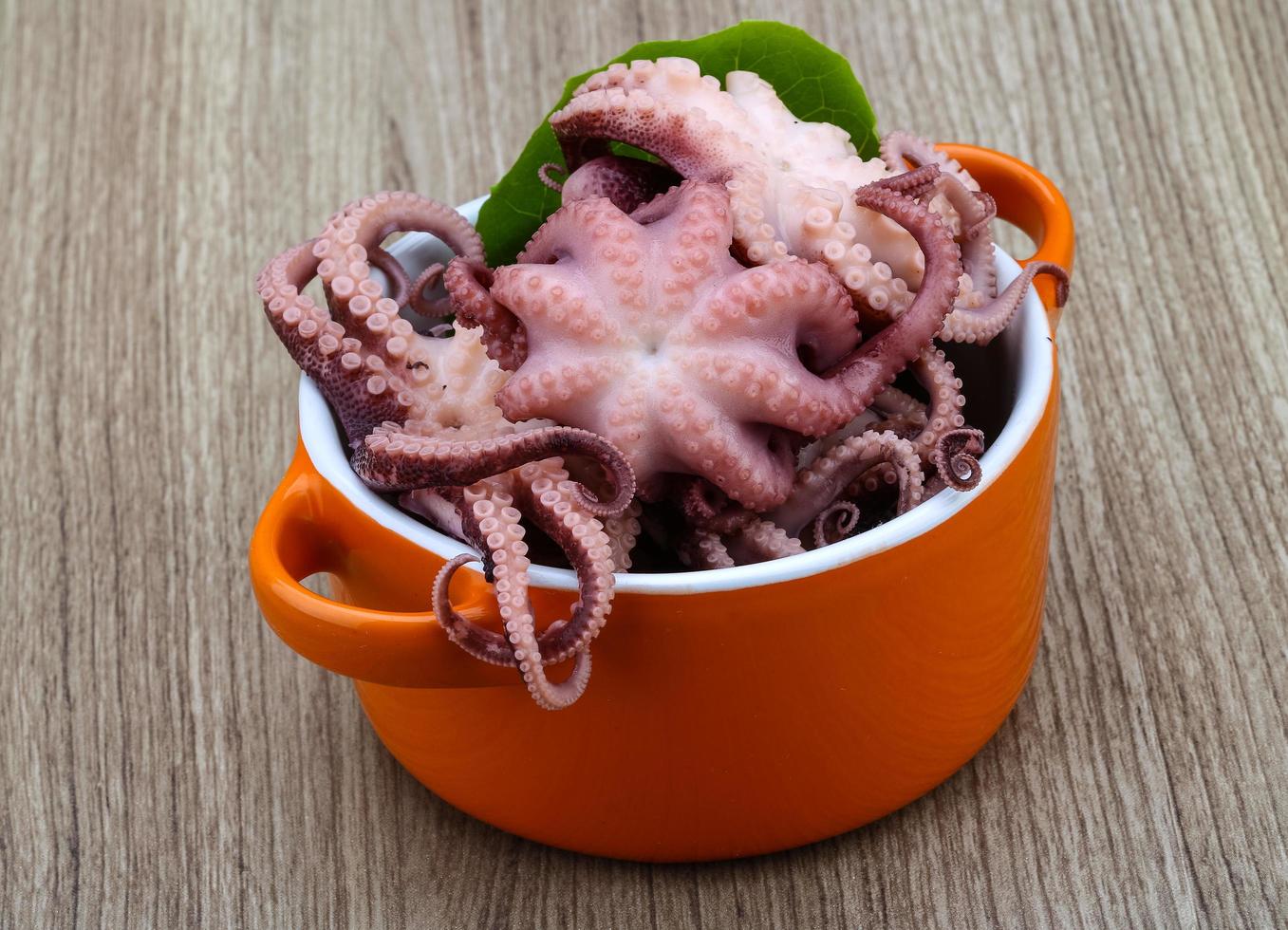 gemarineerd Octopus schotel visie foto