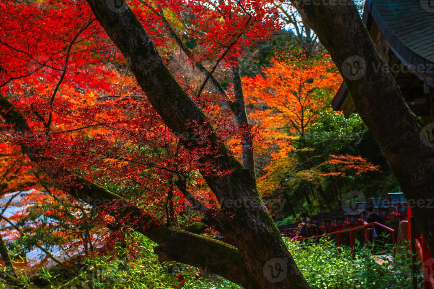 herfst tafereel Bij kibune Aan monteren kurama, Kyoto prefectuur, kansai, Japan foto