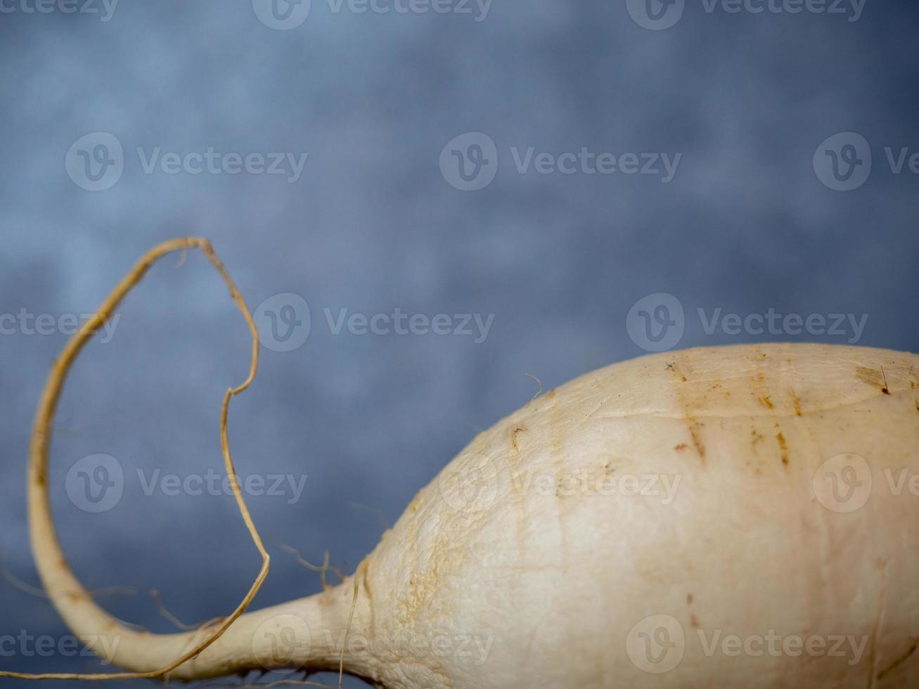 daikon Aan een zwart achtergrond. groot wortel, Japans radijs. oogst foto