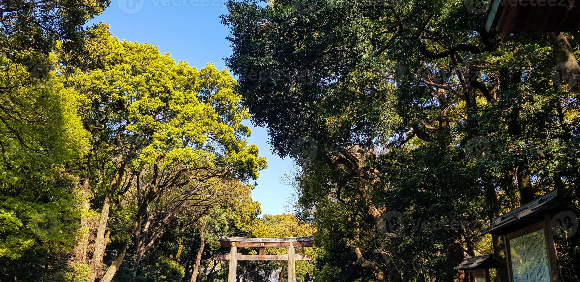 torii poort staand Bij de Ingang naar meiji jingu altaar iat harajuku stedelijk Woud, Tokio. foto