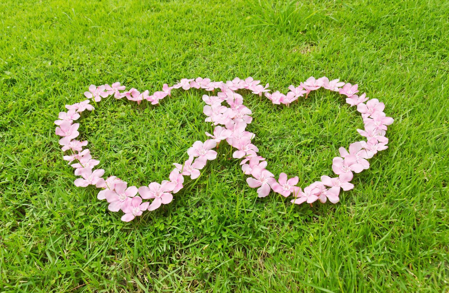 roze bloem liefde hart foto