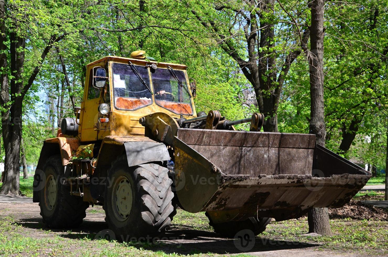 de stad verbetering team verwijdert de gedaald bladeren in de park met een graafmachine en een vrachtwagen. regelmatig seizoensgebonden werk Aan verbeteren de openbaar plaatsen voor recreatie foto