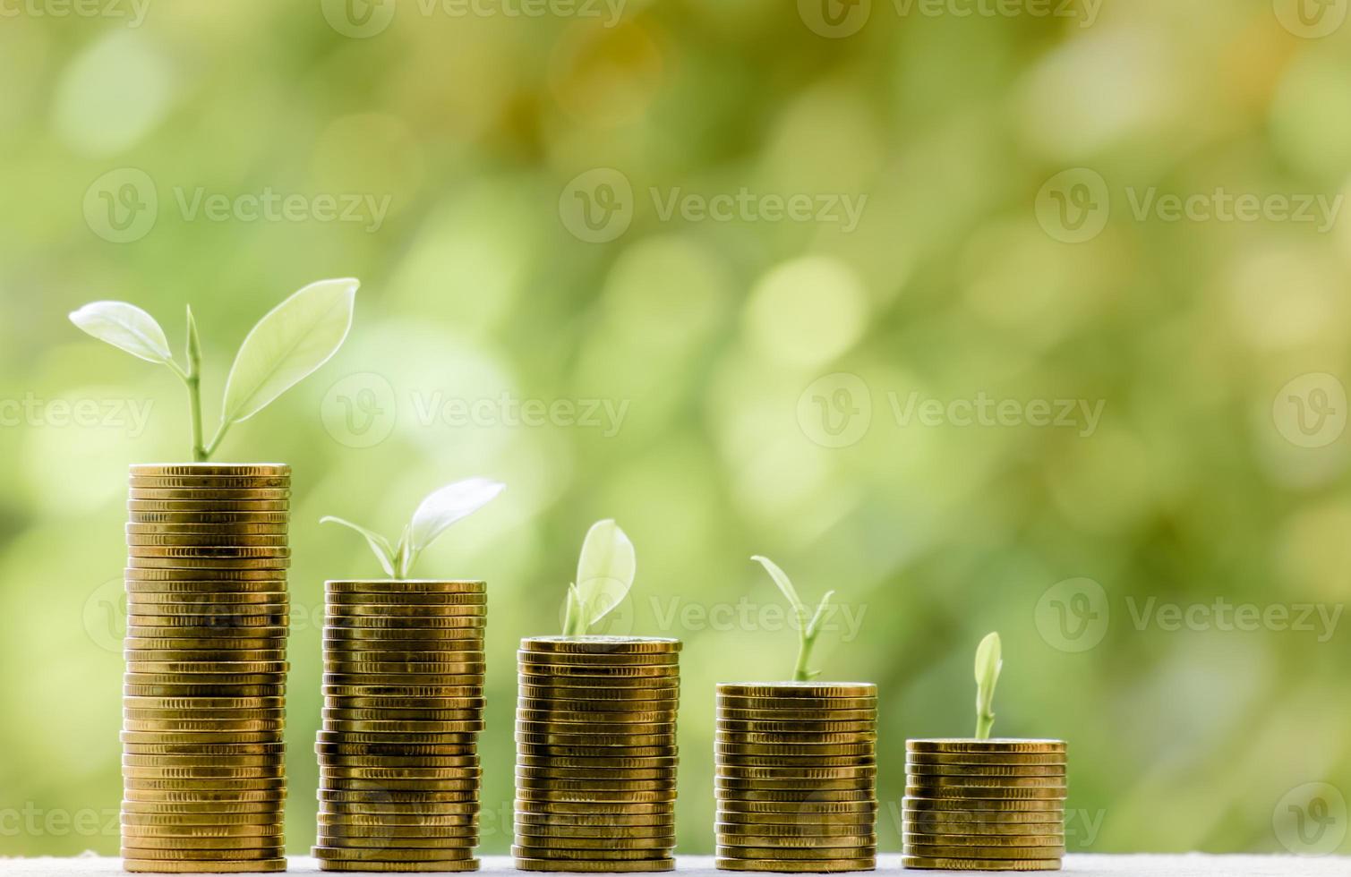 bedrijf financiën en geld concept, opslaan geld voor bereiden in de toekomstige.boom groeit Aan munt van stapelen goud munten met groen bokeh achtergrond foto