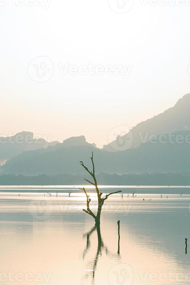 ochtend- visie van kandalama meer, sri lanka foto