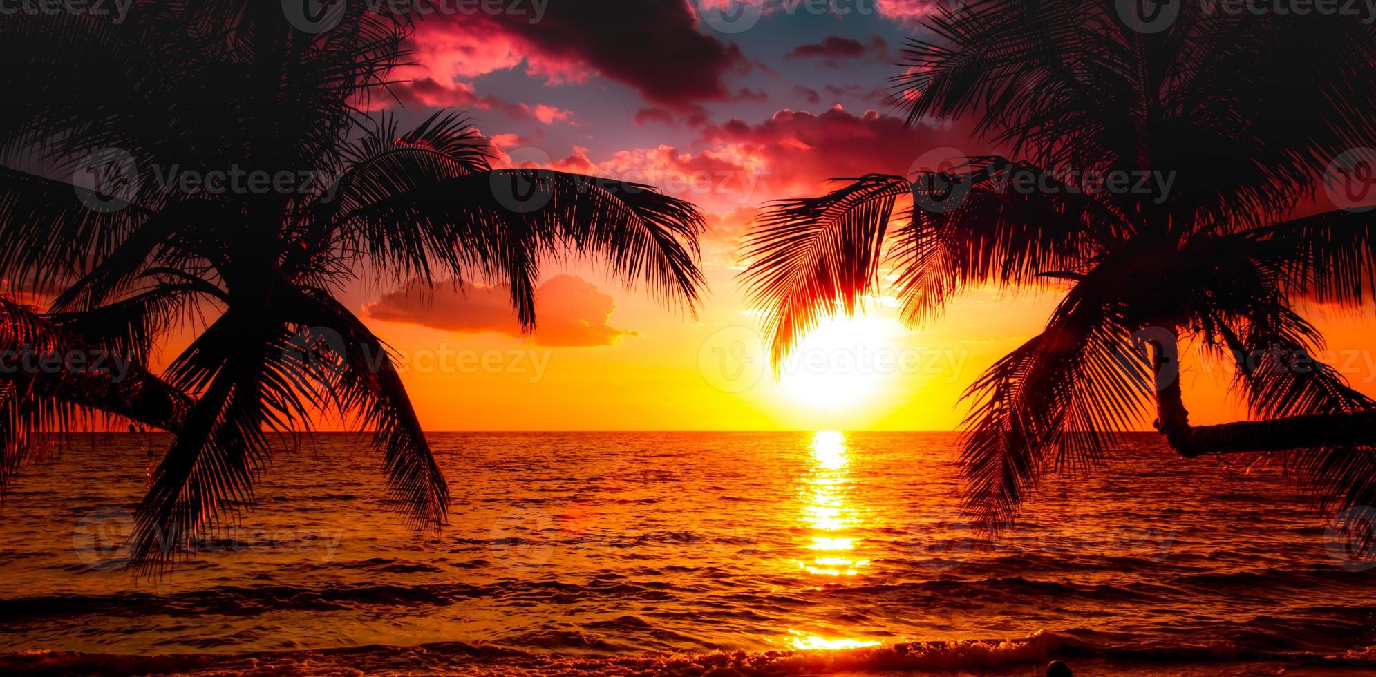 silhouet van palm bomen mooi zonsondergang Aan de tropisch zee strand roze lucht achtergrond voor reizen in vakantie kom tot rust tijd, foto