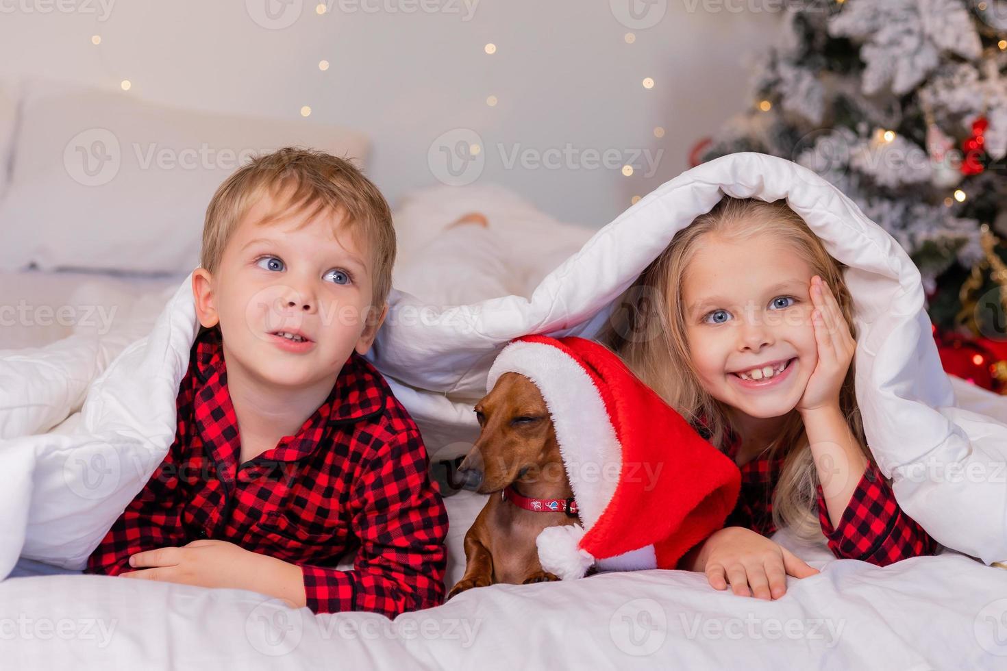 twee kinderen een jongen en een meisje zijn aan het liegen in bed met hun geliefde huisdier voor kerstmis. hoog kwaliteit foto
