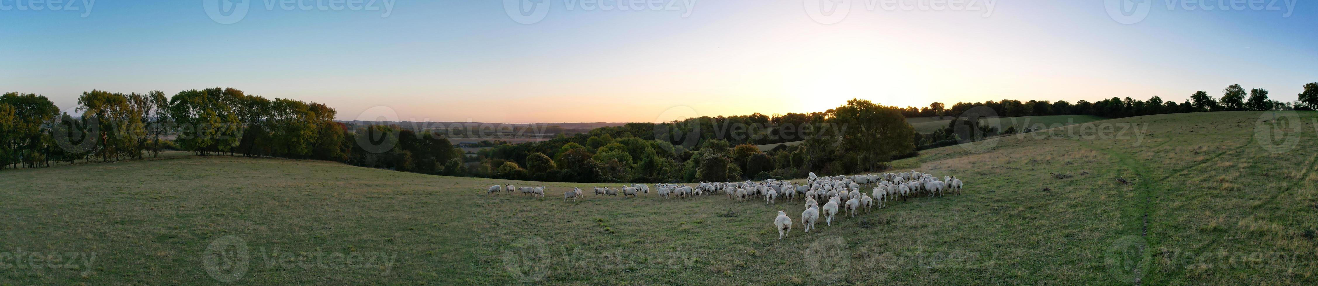 prachtig visie van Brits platteland en landschap foto