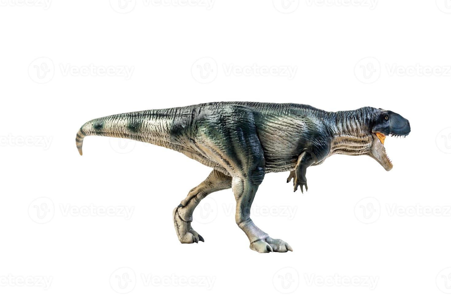 dinosaurus , giganotosaurus Aan geïsoleerd achtergrond knipsel pad foto