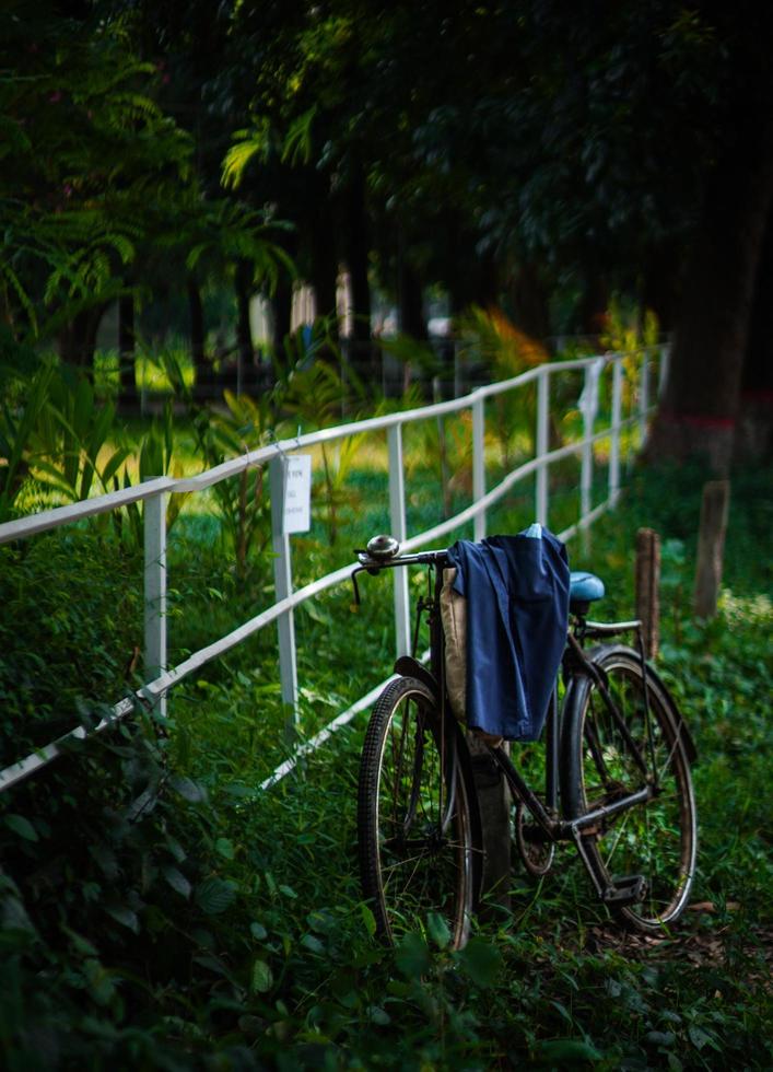 fiets staand in natuur Bij vroeg ochtend- foto