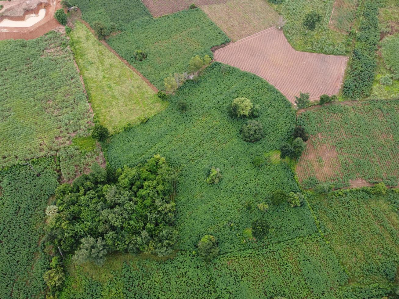 antenne foto's genomen door drones tonen de groen van agrarisch land. foto