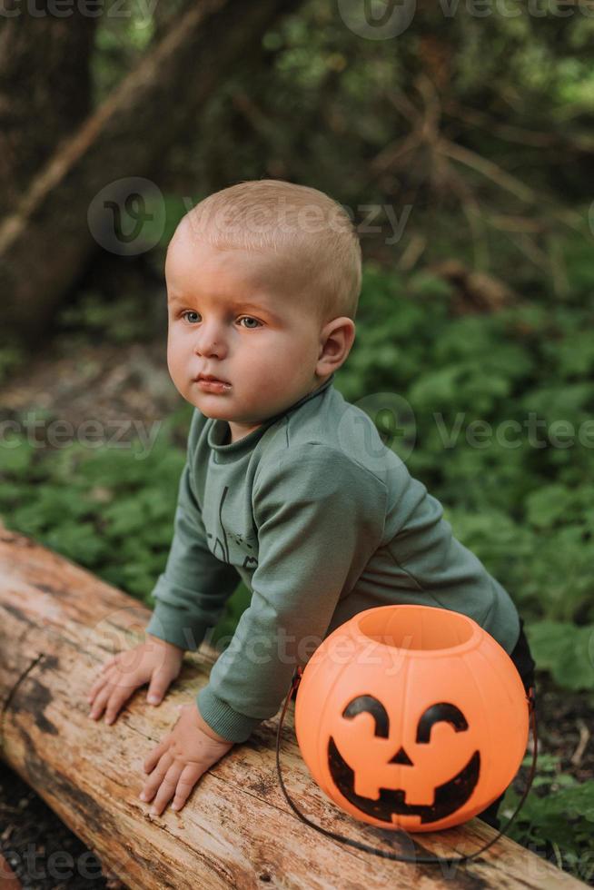 charmant schattig baby jongen met een pompoen mand voor snoepgoed is zittend onder een verspreiden wilg Bij zonsondergang. fantastisch magisch mooi Woud. halloween concept. kind Toneelstukken in de buitenshuis. ruimte voor tekst foto