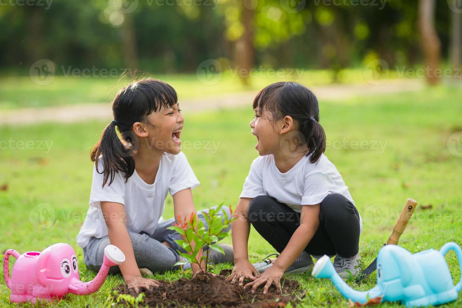 Aziatisch broer of zus aanplant jong boom Aan zwart bodem samen net zo opslaan wereld in tuin Aan zomer dag. aanplant boom. kindertijd en buitenshuis vrije tijd concept. foto