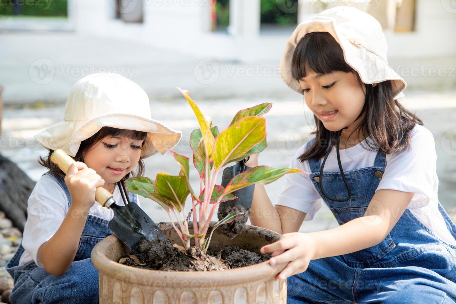 broers en zussen Aziatisch meisje is aanplant voorjaar bloemen boom in potten in de tuin buiten de huis, kind onderwijs van natuur. zorgzaam voor nieuw leven. aarde dag vakantie concept. wereld milieu dag. ecologie. foto