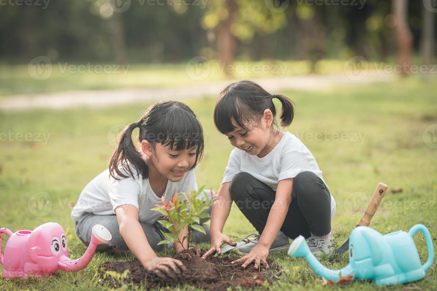 Aziatisch broer of zus aanplant jong boom Aan zwart bodem samen net zo opslaan wereld in tuin Aan zomer dag. aanplant boom. kindertijd en buitenshuis vrije tijd concept. foto