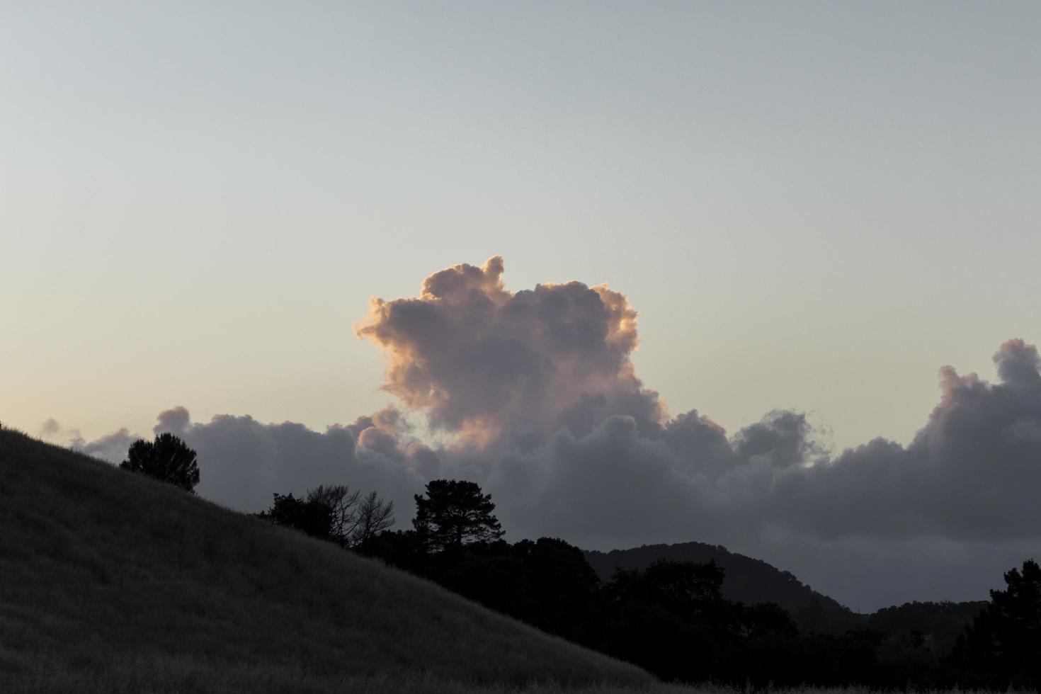 bewolkte zonsondergang met boomsilhouet foto