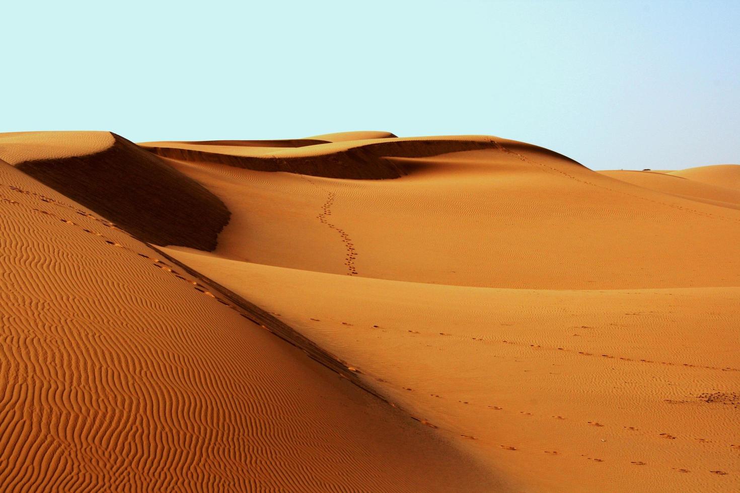 voetafdrukken in Afrikaanse woestijn foto