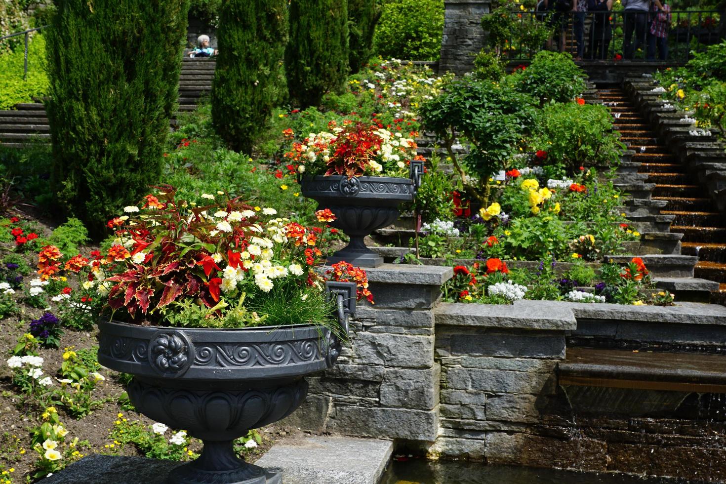 bloementuin op mainau island foto