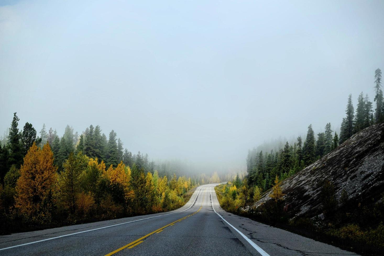 roadtrip in de herfst foto