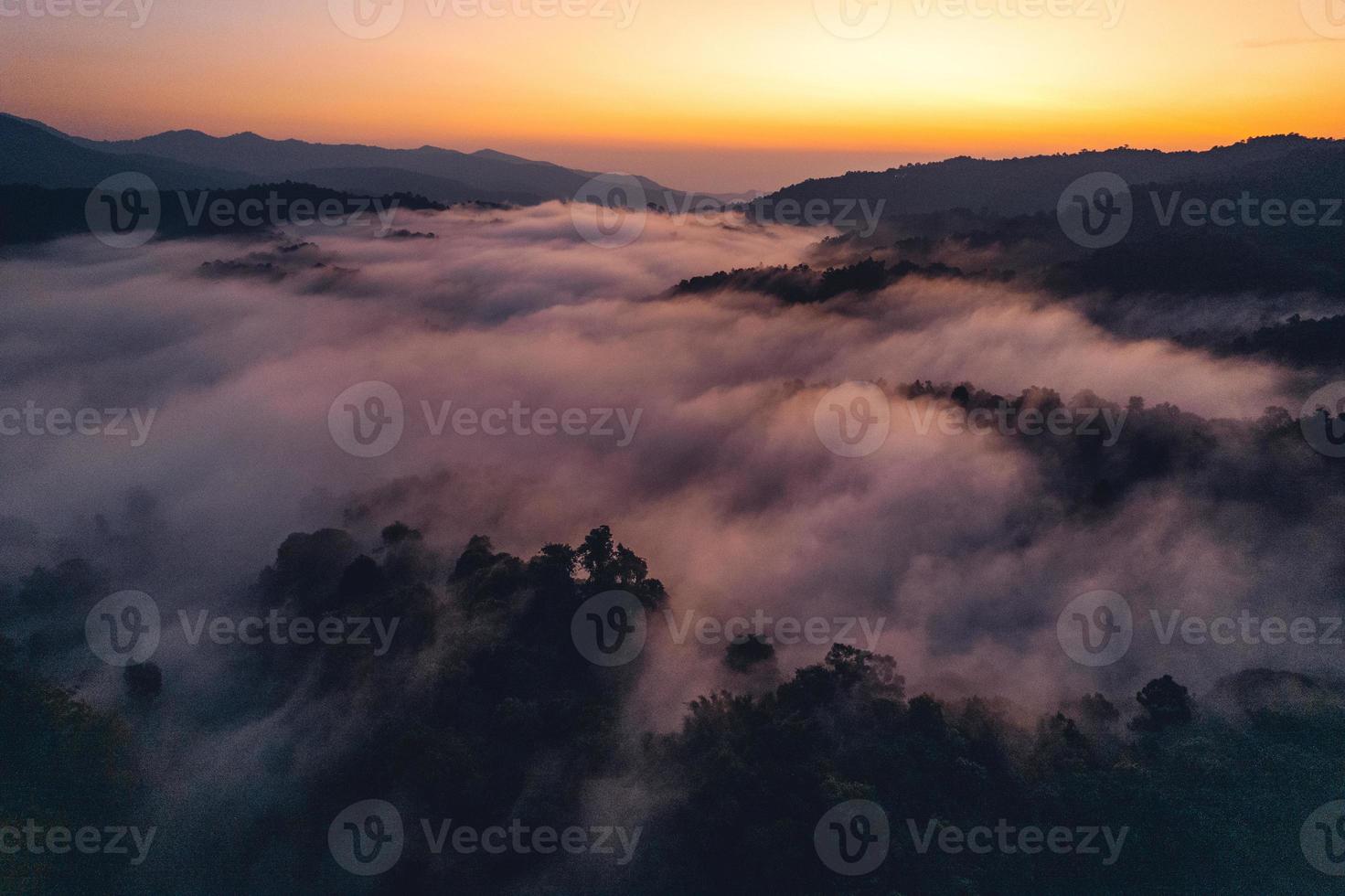 ochtend- mist en wolken in de heuvel Woud foto