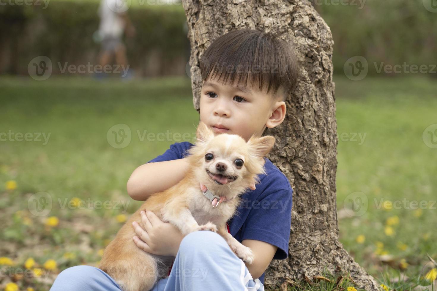 weinig Aziatisch jongen zit met zijn huisdier chihuahua in de park in de avond. het beste vriend huisdier. kind en hond, schattig vrienden liefdevol omarmd foto