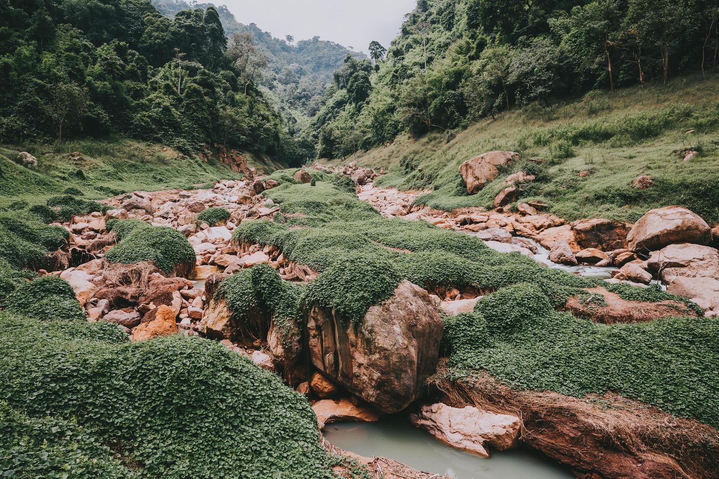 riviervallei met rotsen foto