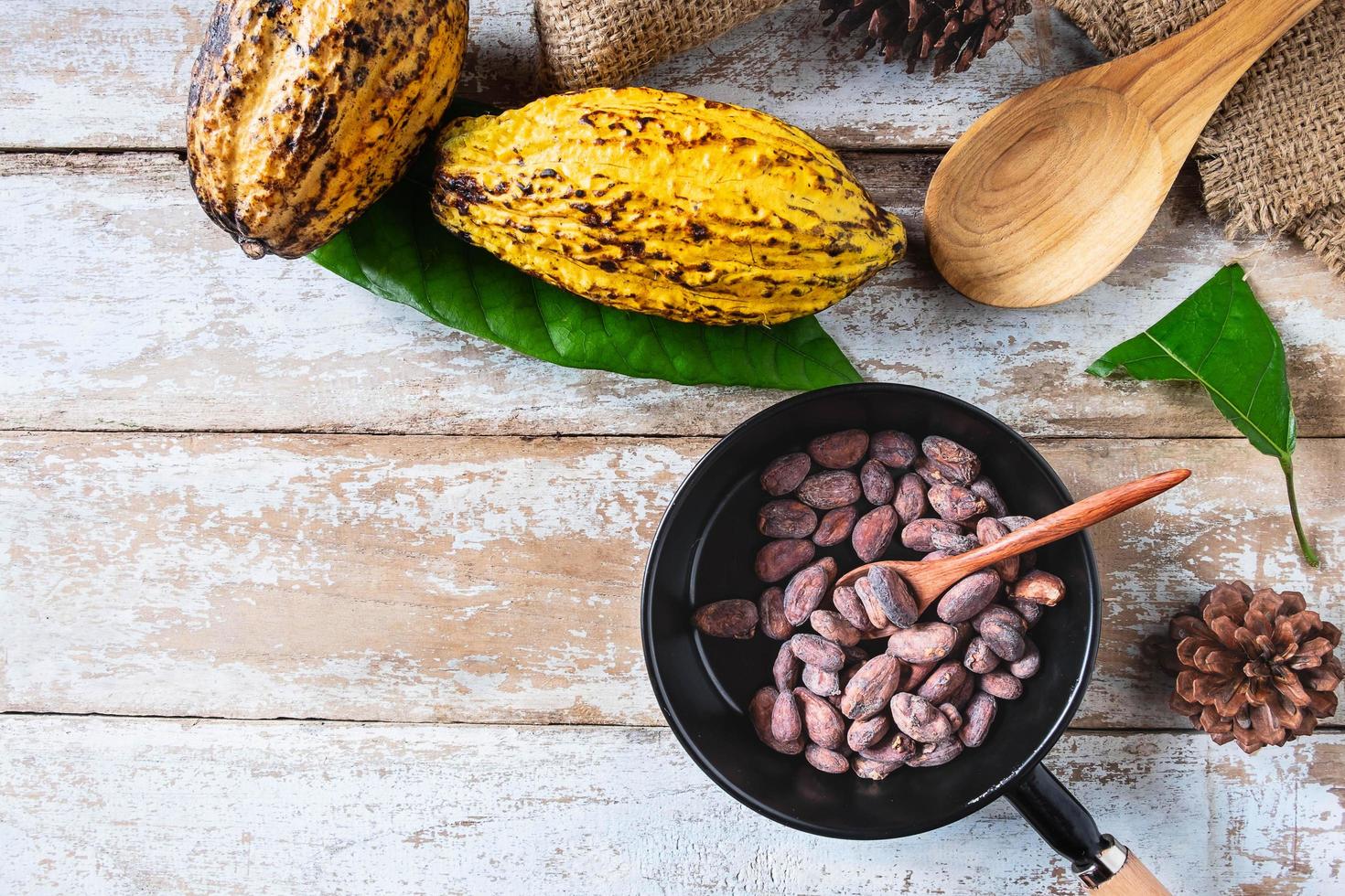 rauwe cacaobonen en cacaopeulen foto