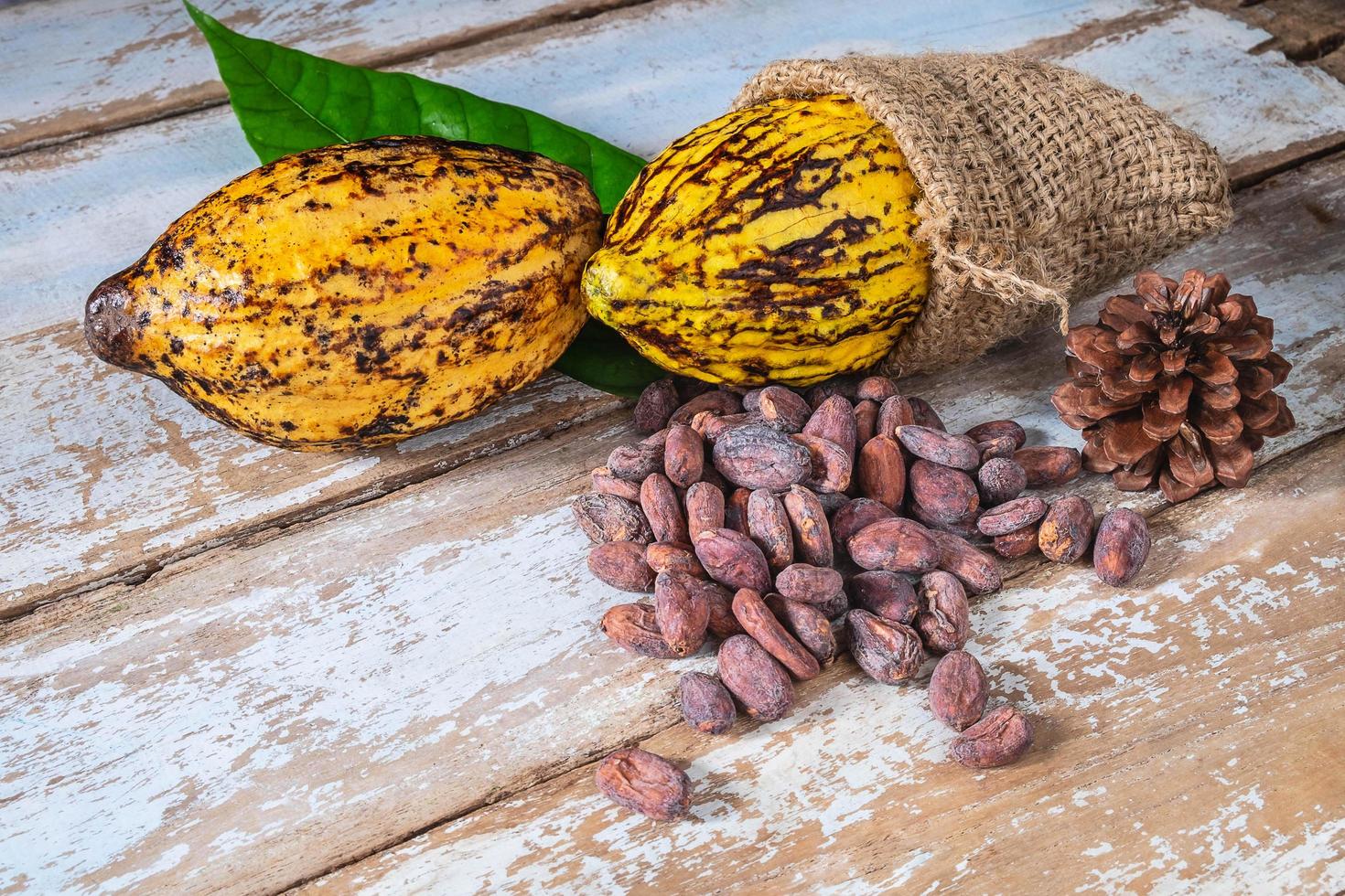 cacao en rauwe cacaobonen foto