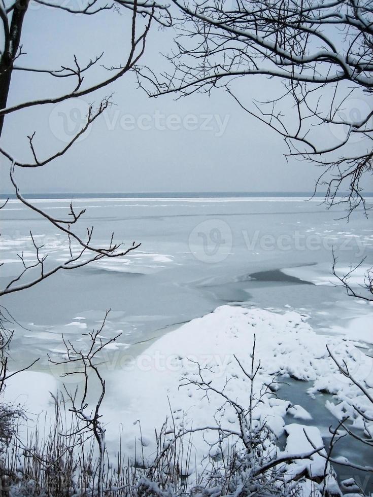 winter landschap met met sneeuw bedekt planten in de buurt een bevroren meer. sneeuw achtergrond in een neutrale palet foto