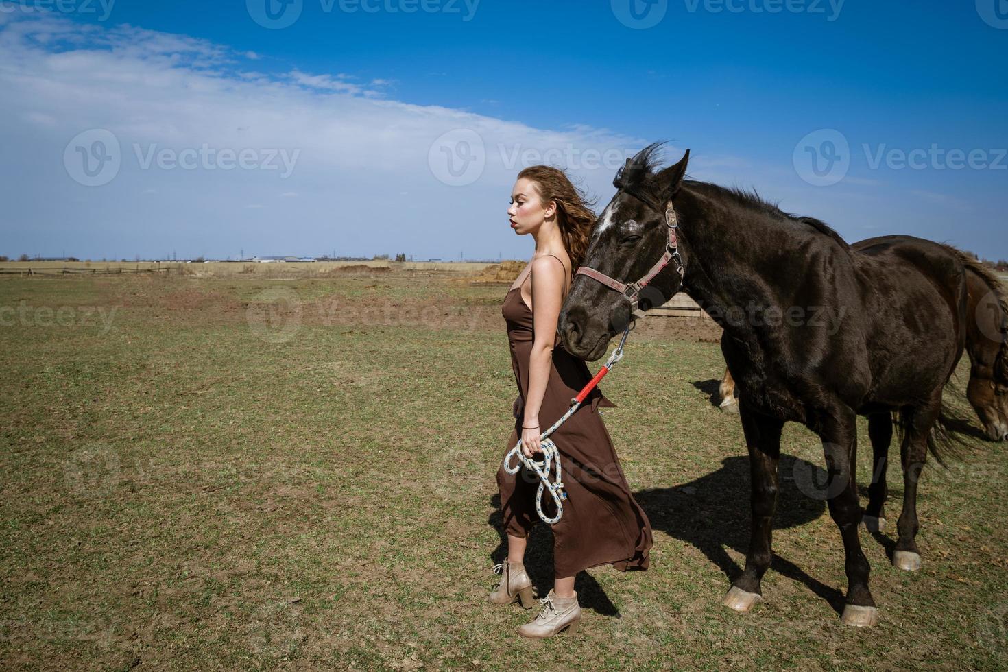 mooi vrouw met paard in een veld- Aan een zonnig dag foto