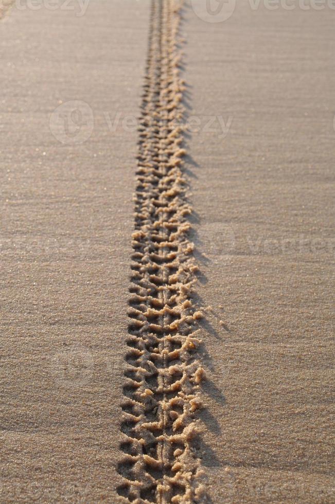 sporen op zand foto
