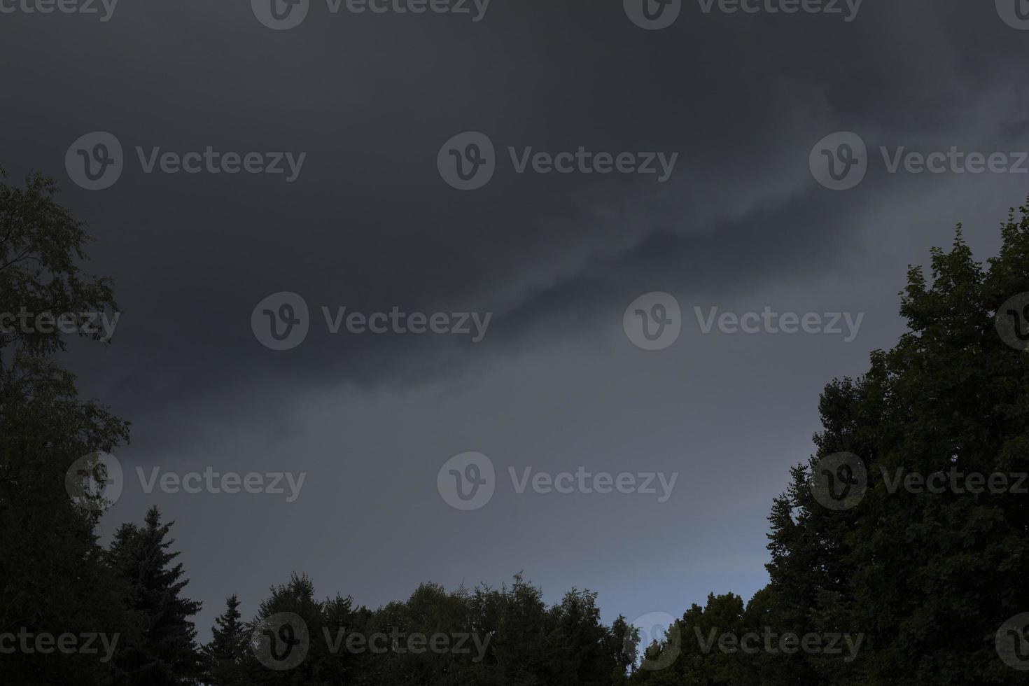 grijs lucht. storm wolken. donker Woud. voordat storm. in de buurt het weer. foto