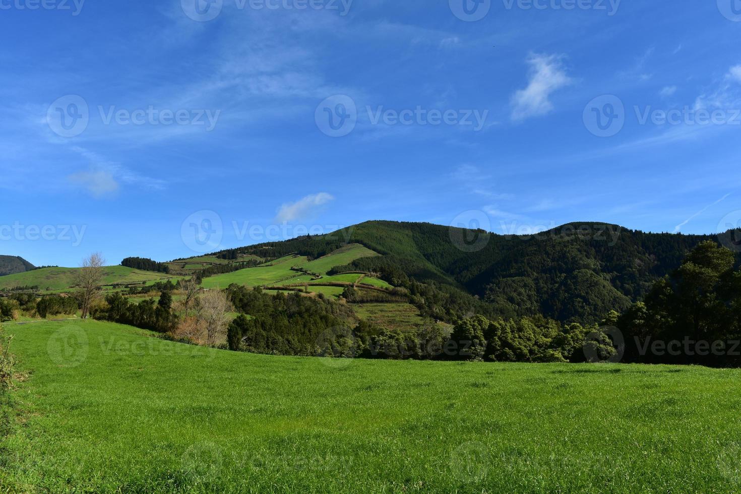 weelderig groen gras velden van sao miguel in de azoren foto