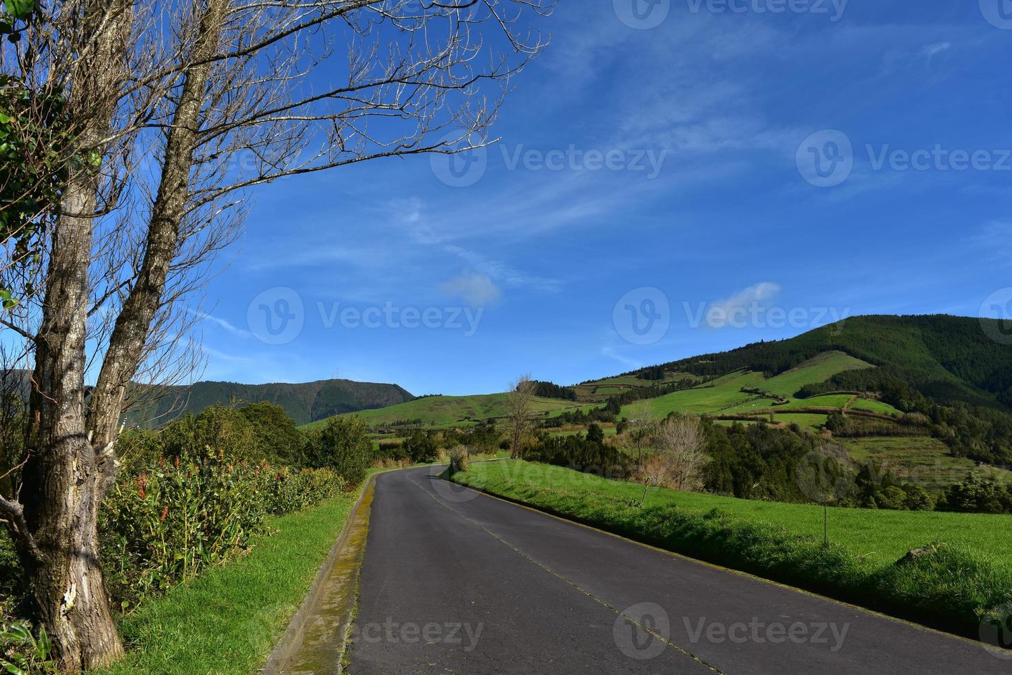 weg manier kronkelend door de weelderig sao miguel platteland foto