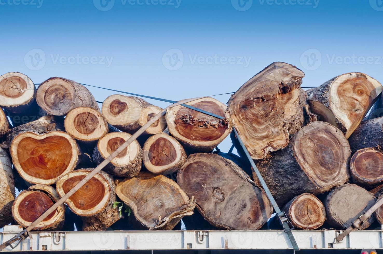 vervoer van boomstammen op een vrachtwagen foto