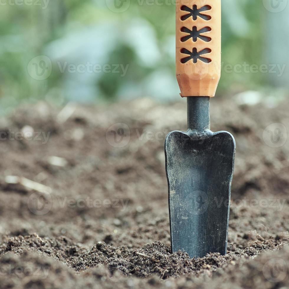 tuin troffel Aan de grond tegen de achtergrond van bodem en groen bladeren in vervagen. foto