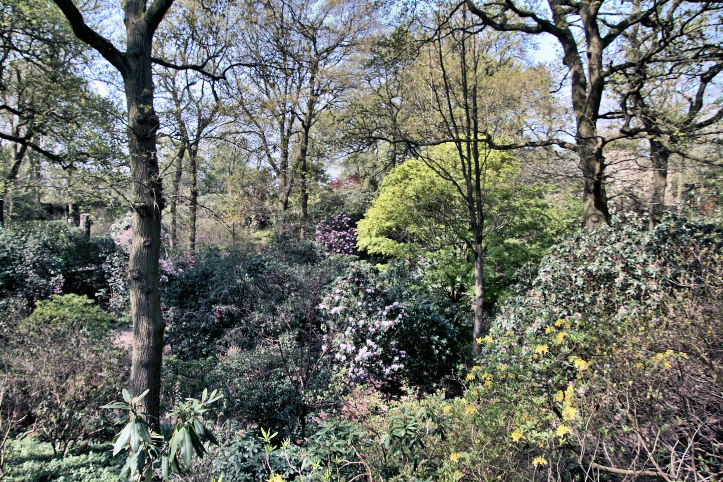 een visie van de shropshire platteland in de buurt grinshill foto