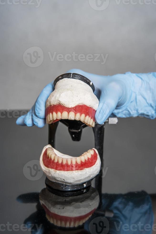 tandprothese in de handen van de close-up van de arts. tandarts met keramische tandheelkundige brug. vooraanzicht van volledige prothese. tandheelkunde conceptuele foto. prothetische tandheelkunde. foto