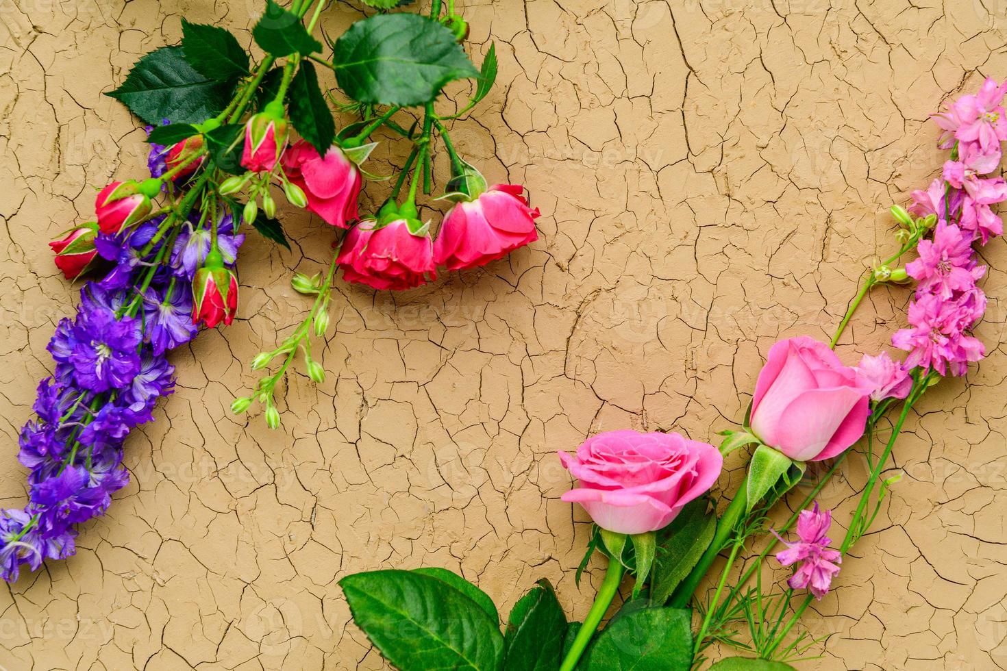 een detailopname schot van mooi bloemen Aan een grunge achtergrond foto