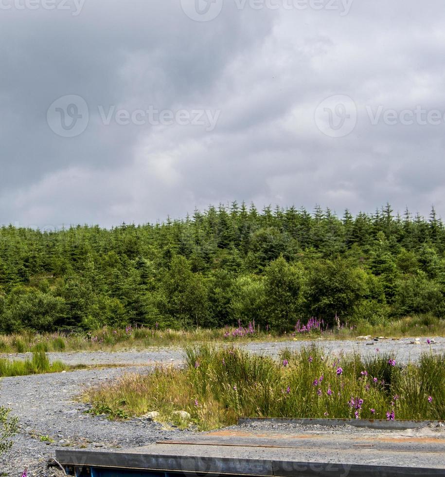 zomer landschap heuvels en horizon foto