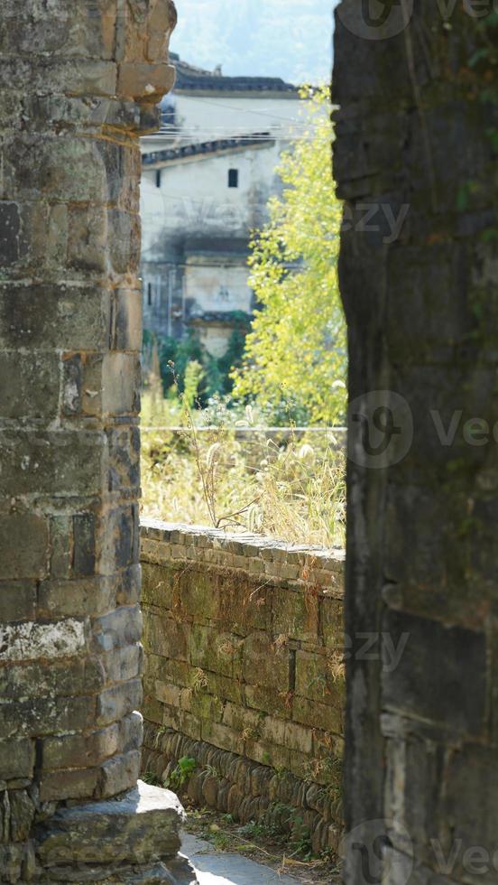 de mooi traditioneel Chinese dorp visie met de klassiek architectuur en vers groen bomen net zo achtergrond foto