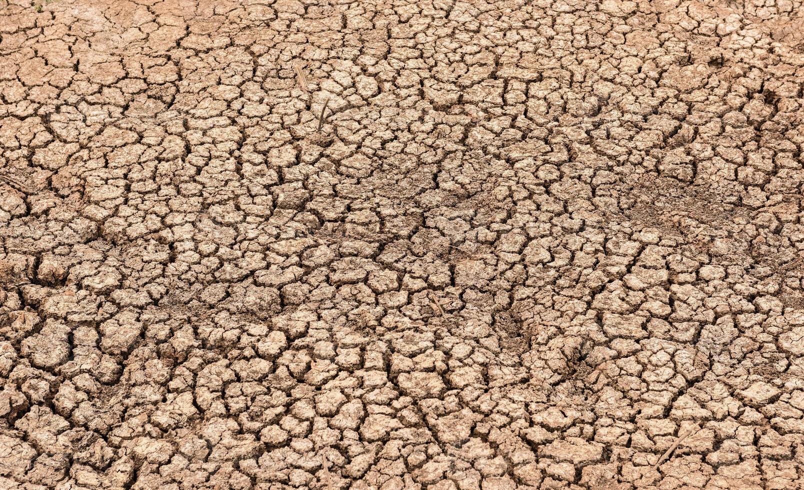 droog gebarsten bodem aarde gedurende droogte. foto