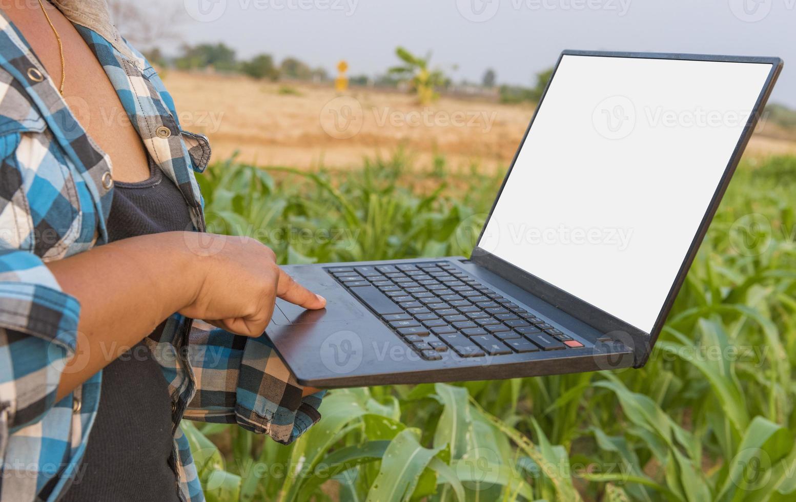 mooi boer meisje met laptop staand in een maïs veld. foto