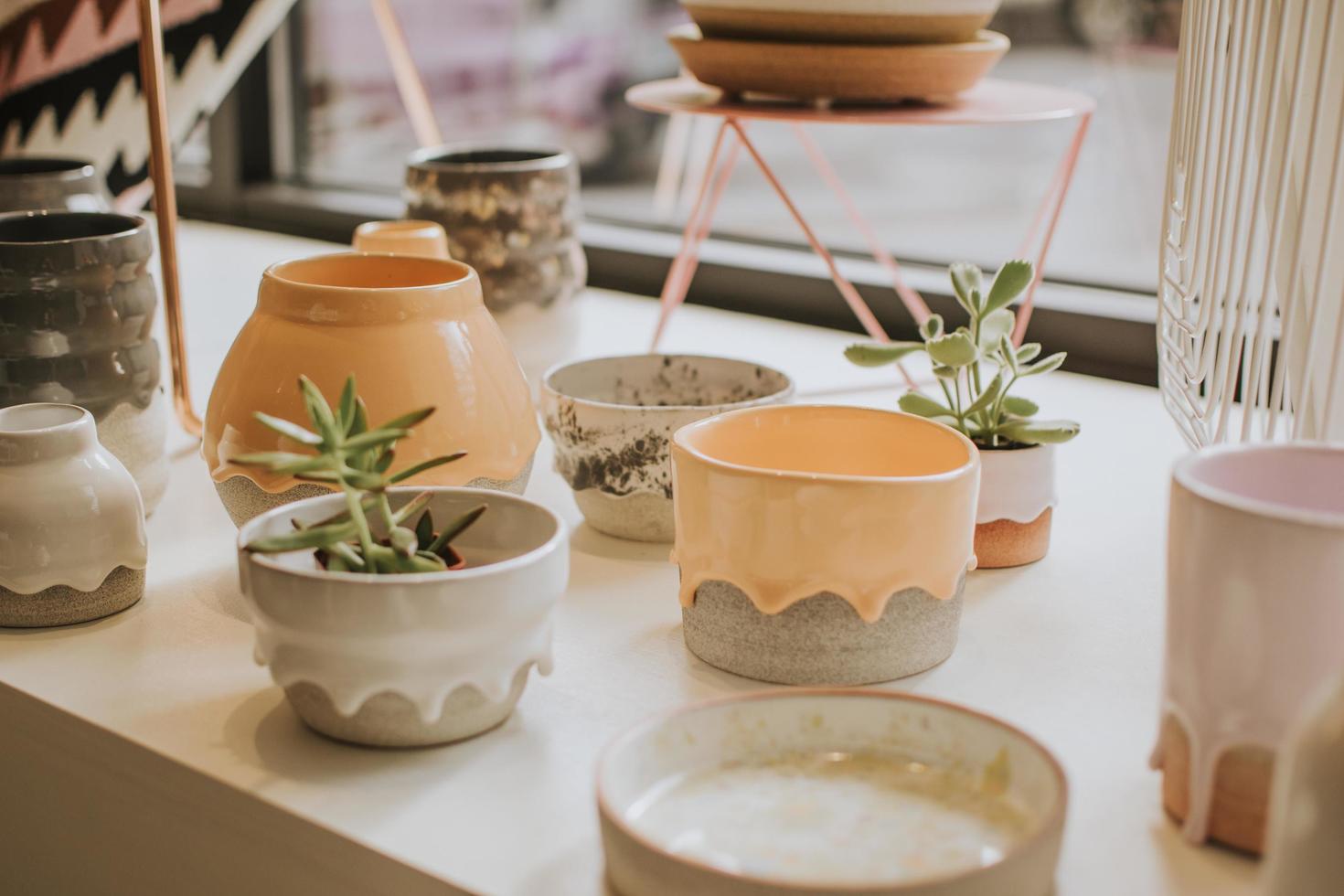 vetplanten in keramische potten foto